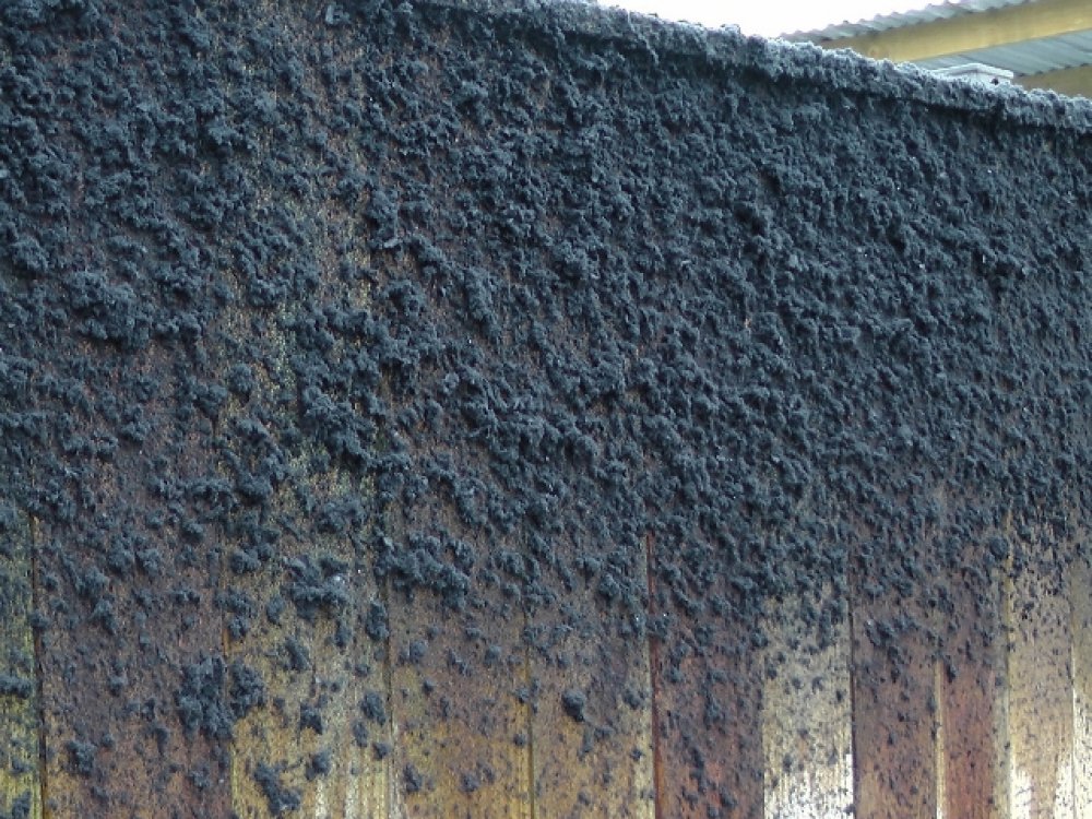 Asche-, Ruß- und Moos-Effekt Design 16