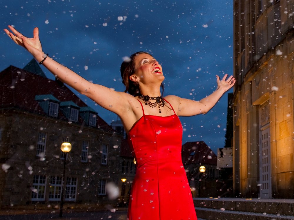 Fallender Schnee Design 12