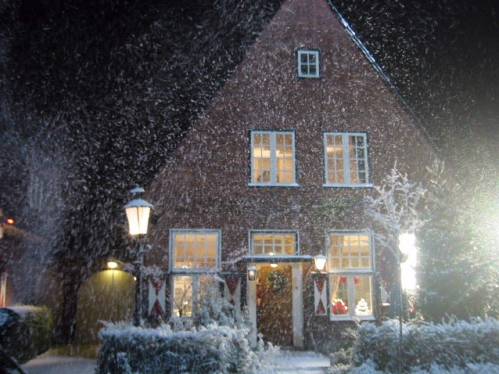 Fallender Schnee Design 14