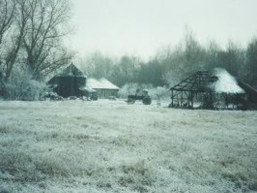 frost effect design 11