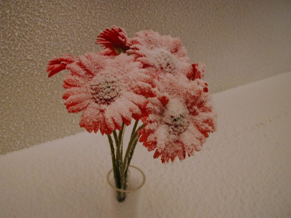 Snow Business GmbH images for Snow and Ice effects