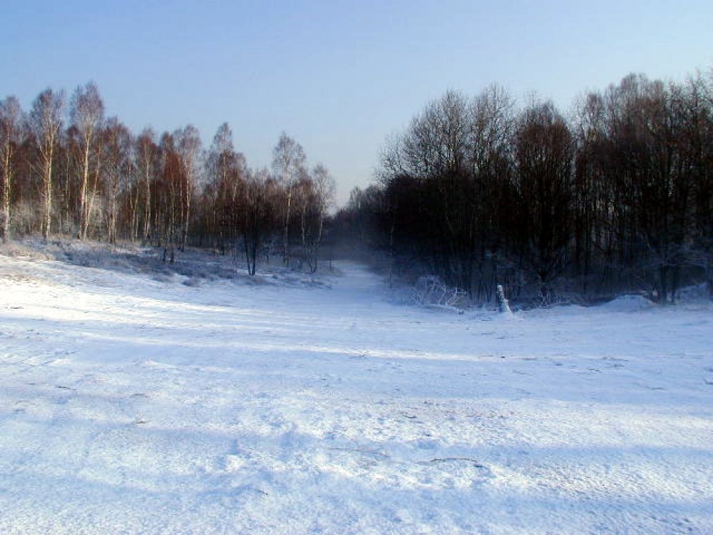 snow dressing design 5