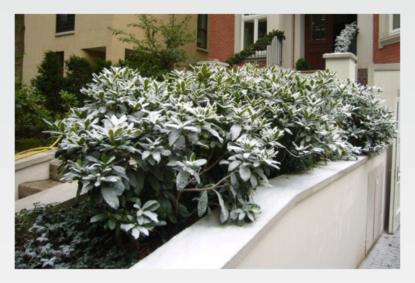 gallery landscape image 41