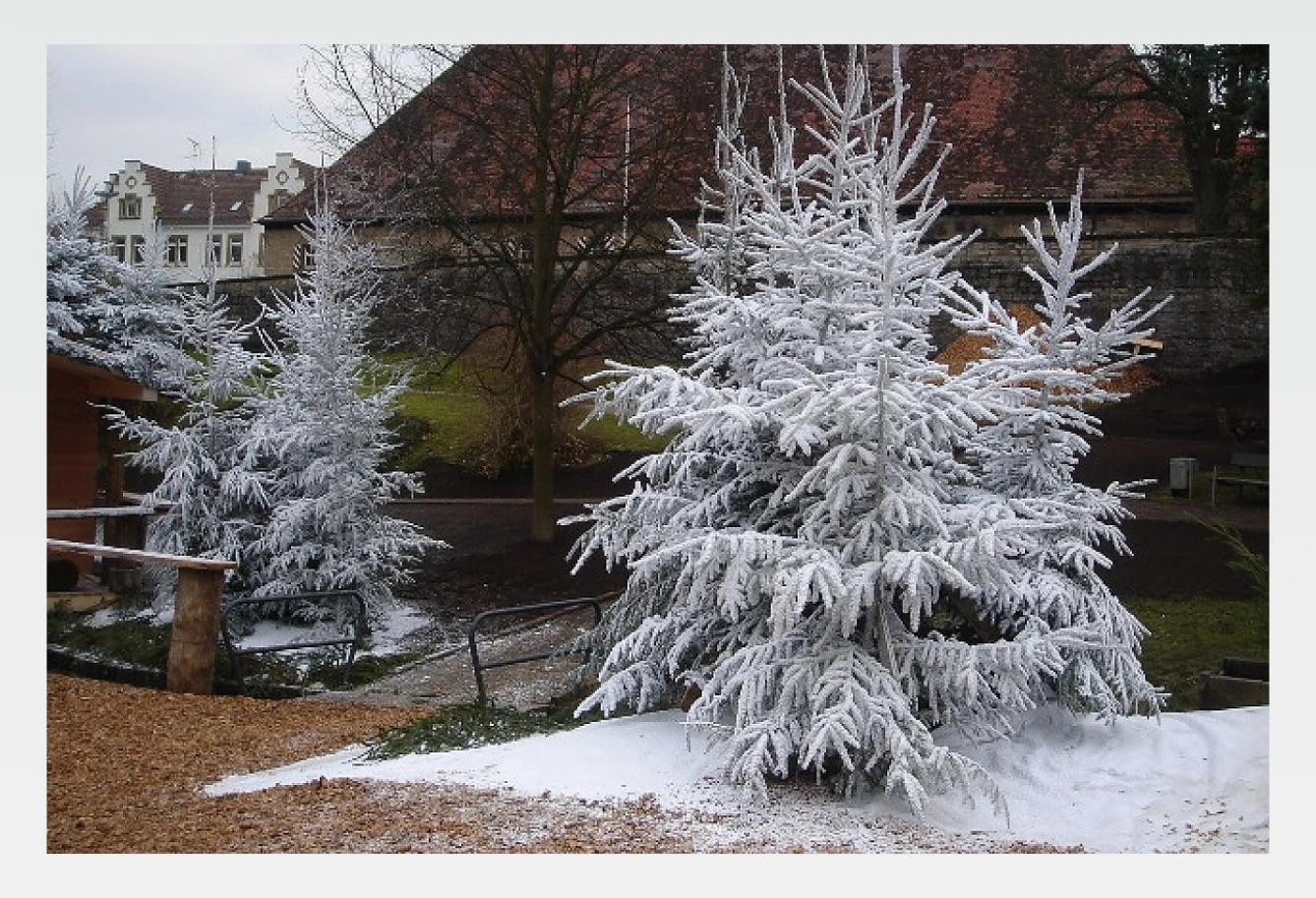 gallery landscape image 7