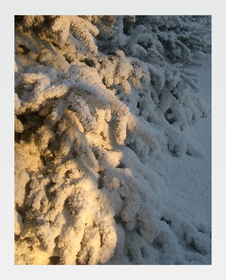 gallery portrait image 23