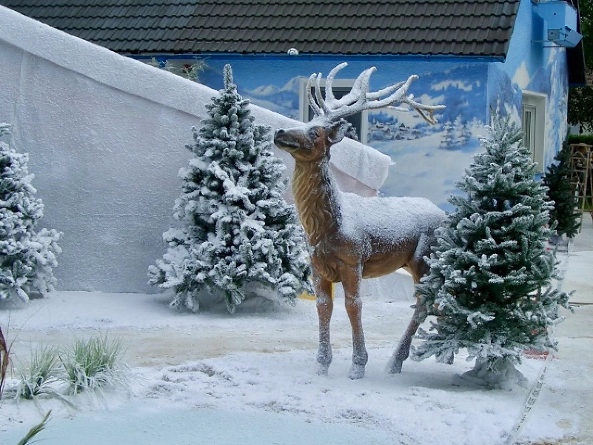 snow business gmbh images