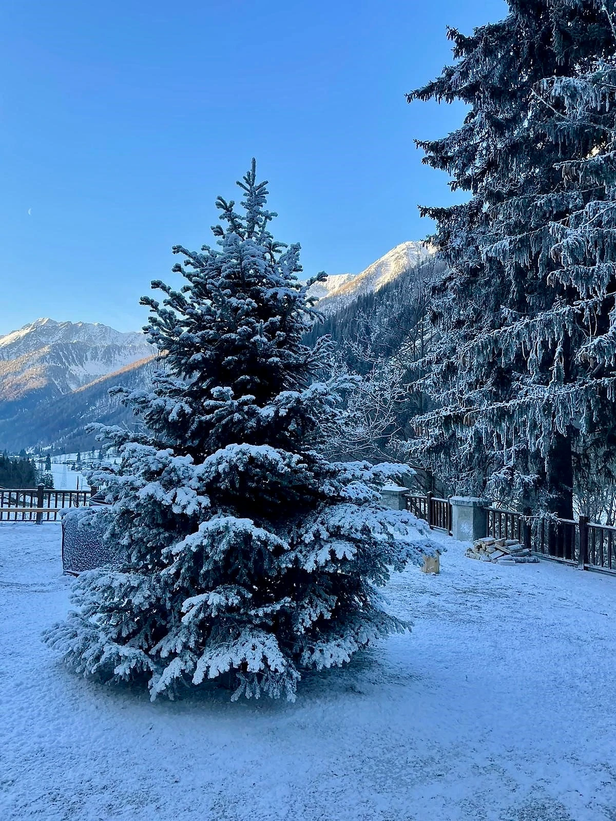 snow business gmbh images